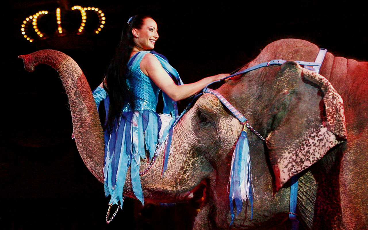 Circus Krone