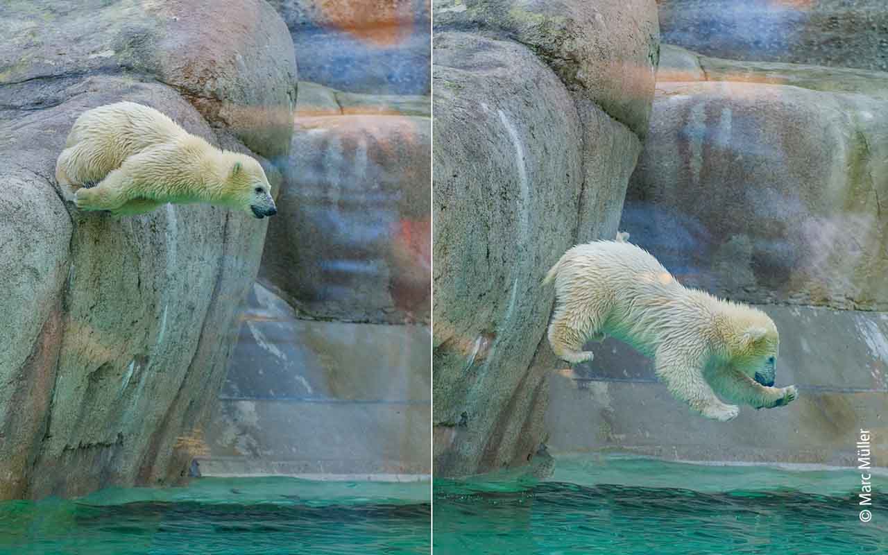 zoo Hellabrunn
