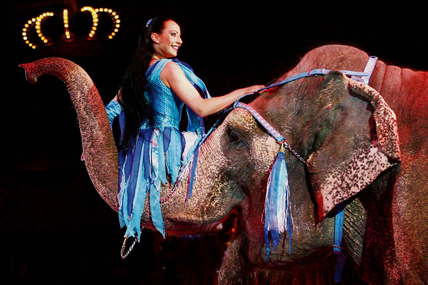 Circus Krone